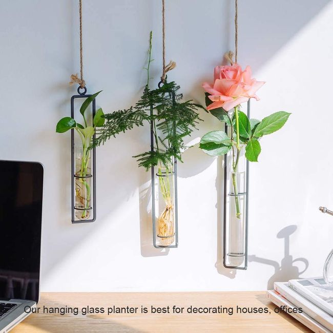 Single Vase Vase Hanging Test Tube Vase Mini Flower Vase Transparent Flower Base Hydroponics Vase Glass Vase Terrarium Container Craft Wall Vase Hallway Decoration Vase (Black, S+M+L)