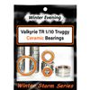 Redcat Valkyrie TR 1/10 Truggy | Stainless + Ceramic Bearing Kit