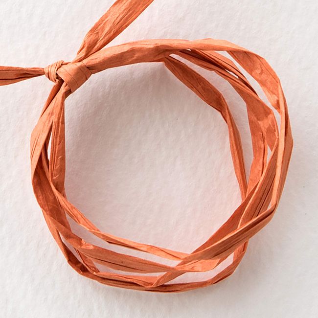 Heads Paper Raffia Ribbon