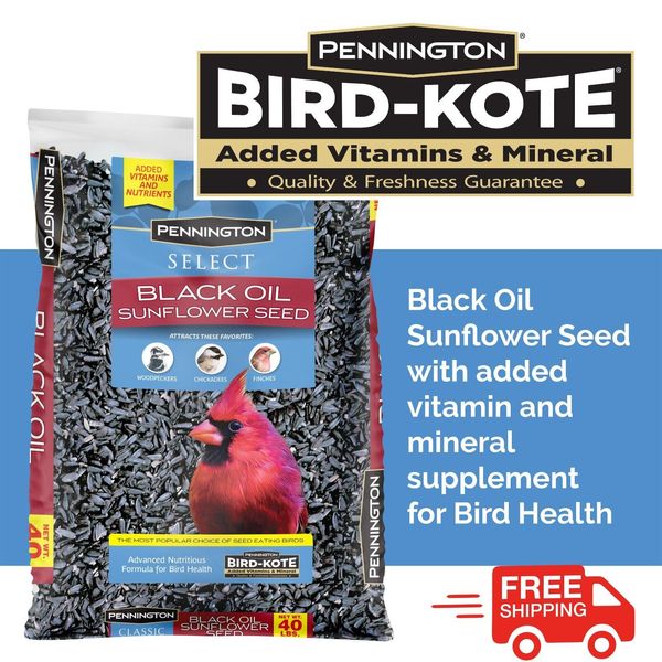 Pennington Select Black Oil Sunflower Seed Wild Bird Dry Feed, 40 lb. Bag