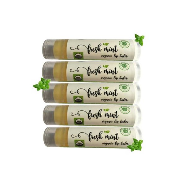 Organic Skin Care Kits Lip Balms Fresh Mint USDA Organic Certified, Nontoxic Chapstick and Paraben-free Skin Perfection 5 Pack