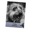 Lurcher Dog Birthday Card