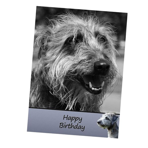 Lurcher Dog Birthday Card