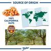 Fisher Walnuts Halves and Pieces 10 Ounce Versatile Nut Snack for Baking and ...