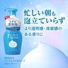[Bulk Purchase] SENKA Perfect Whip Speedy x 2 + Bonus