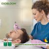 Exosome Scalp Care Complex Kit with Botanical Nutrients