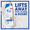 Head & Shoulders Dry Scalp Care Dandruff Shampoo 420 ml