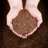 Pure Swedish Linseed Oil COMBO - 1 Quart Raw + 1 Quart Boiled
