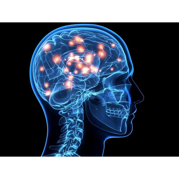 dopamine - L-DOPA 99% - mucuna pruriens capsules - 3 Bottles