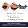 Ardell False Eyelashes Double Up 204 - Dramatic, Full-Volume, Wispy Strip Lashes, 2 Pack