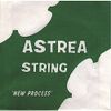 ASTREA 141134 VIOLIN 1/4-1/2 "G" 4TH
