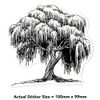 Medium 100mm 'Willow Tree' Transparent/Clear Sticker Decal for Windows/Cars/Walls (DC00142121)