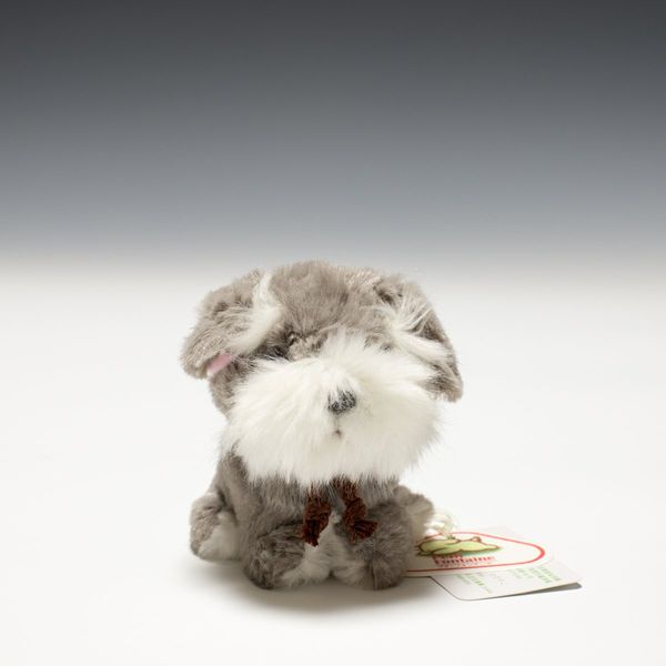 Candy Fontaine Schnauzer