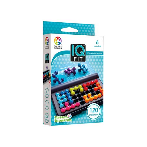 SMRT GAMES SG423JP IQ Fit Brain Training Puzzle Game