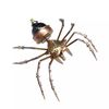 Mechanical Metal DIY 3D Insect Brass Puzzle (Jumping Spider)