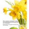 Sister Easter Card - Medium Sized Card (A5 Size -148mm x 210mm) with Envelope