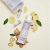 Indola Innova Root Activating Lotion