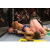 Ufc: Ultimate Submissions
