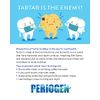 Periogen Toothpaste - Super Cleaning Plaque & Tartar Control Formula - SLS Free- 2-Pack