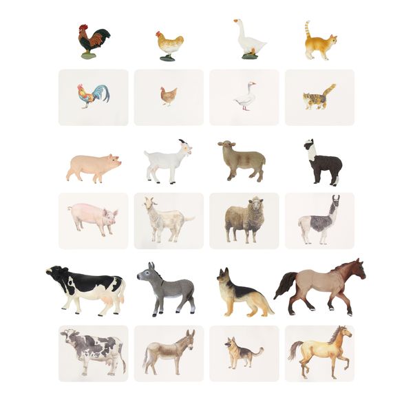 Montessori Language Materials Objects with Similar Cards 12pcs Mini Farm Animal Replicas with Matching Picture Cards Preschool Science Education Matching Game