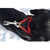 K9 Bridle - to stop your dog pulling (Medium, Red)
