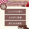 Rimmel Chocolat Sweet Eyes 027 Raspberry Jam Chocolat Powder, 0.1 oz (4.5 g) (x 1)