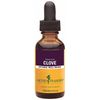 Herb Pharm Certified Organic Clove Extract 1 Ounce