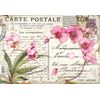 Stamperia Rice Paper 48x33 Pink Orchid (DFS415)