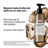 Loreal SE Absolut Repair Molecular Rinse-Off 250 ml