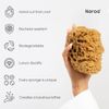 Naroa Natural Massage Shower Sponge for Bathing | Unbleached Body Scrubber Puff | Firm Bath Sponge for Healthy Skin | Eco Friendly Renewable Sea Sponge Medium