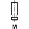 IPSA VL006900 Inlet Valve