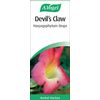 A.Vogel Devil`s Claw Harpagophylum Drops 50 ml