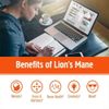 Lion's Mane with Cordyceps Capsules Easy Swallow Enhances Brain & Nerve Support