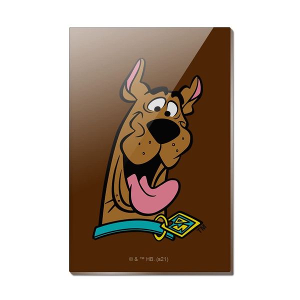 Scooby-Doo Headshot Rectangle Acrylic Fridge Refrigerator Magnet