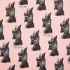 Chase and Wonder"Foxy Lady" Rolled Gift Wrap Paper (2)