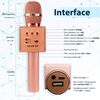 Gigastone Bluetooth V5.0 Karaoke Microphone Wireless Portable Handheld Speaker