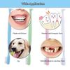 HRASY Orthodontic Toothbrush Small Head End Tuft Toothbrush Tiny Compact Interspace Brush for Braces and Teeth Detail Cleaning, 4 Pieces (C)