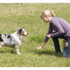 Winod Dog Training Clickers with Wrist Strap-2 Pack(Black+New Blue)