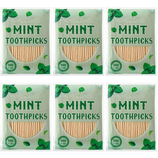 600 Pcs Mint Toothpicks Bulk Flavor Menthol Toothpicks Wood Flavored Toothpicks for Adults Natural Wooden Tooth Pick for Humans Teeth Oral Dental Health