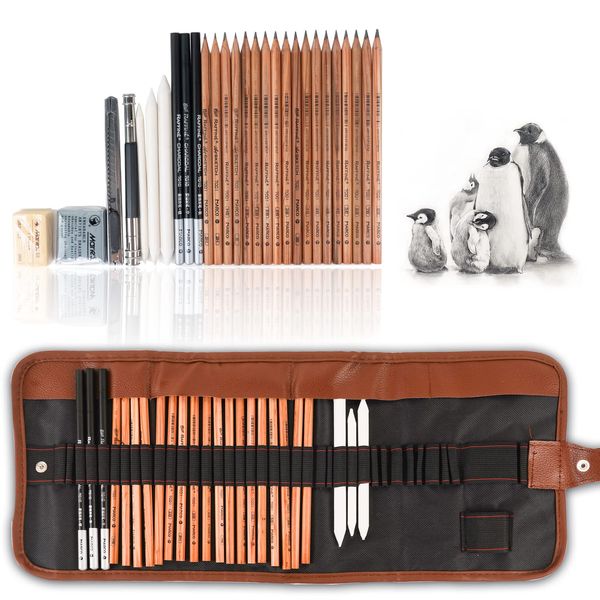 29 Pieces Professional Sketching & Drawing Art Tool Kit With Graphite Pencils, Charcoal Pencils, Paper Erasable Pen, Craft Knife-Lightwish (without Sketchbook, with Canvas Rolling Pouch）…