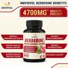 Berberine Capsules 150 Count Dietary Supplement With Ceylon Cinnamon Turmeric