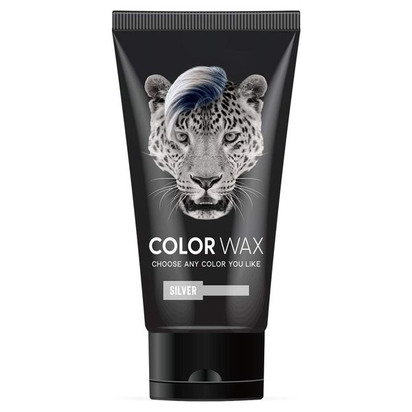 Makeup Hair Color Wax SILVER