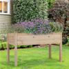 Outdoor Raised Garden Bed with Legs Vegetable Elevated Planter Box Herb Garden