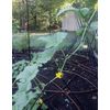 Vegetable Support - Wire Lattice Panels and Supports - 49.5 H x 23 W
