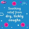Calcough Infant Syrup Apple Flavour 3+ Months, 125ml