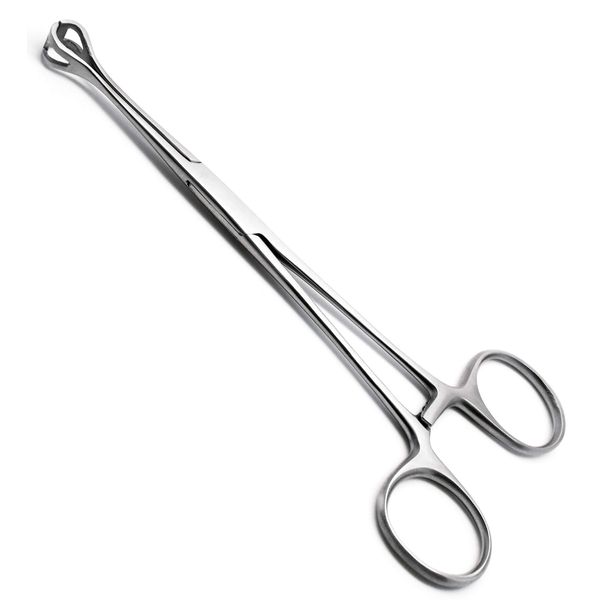 10 Pcs Veterinary Forceps Babcock 6.4" Intestinal Stainless Steel Instruments