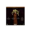 PICARESQUE [Vinyl]