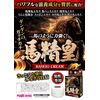 Horse Seikou Cream Magiceyes