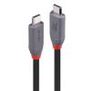 LINDY 2m USB 4 240W Type C Cable, Anthra Line