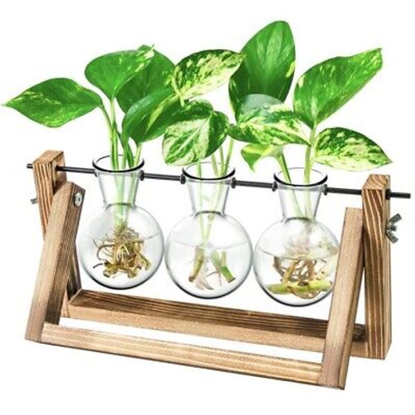 Ivolador Desktop Propagation Station, Bulb Plant Terrarium Retro 3 Bulbs Decor